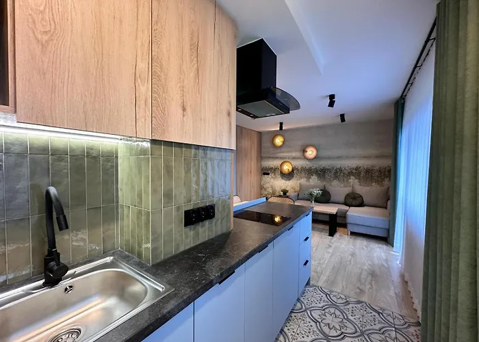 Panska Polana Apartamenty - Sala Zabaw, Duzy Ogrod