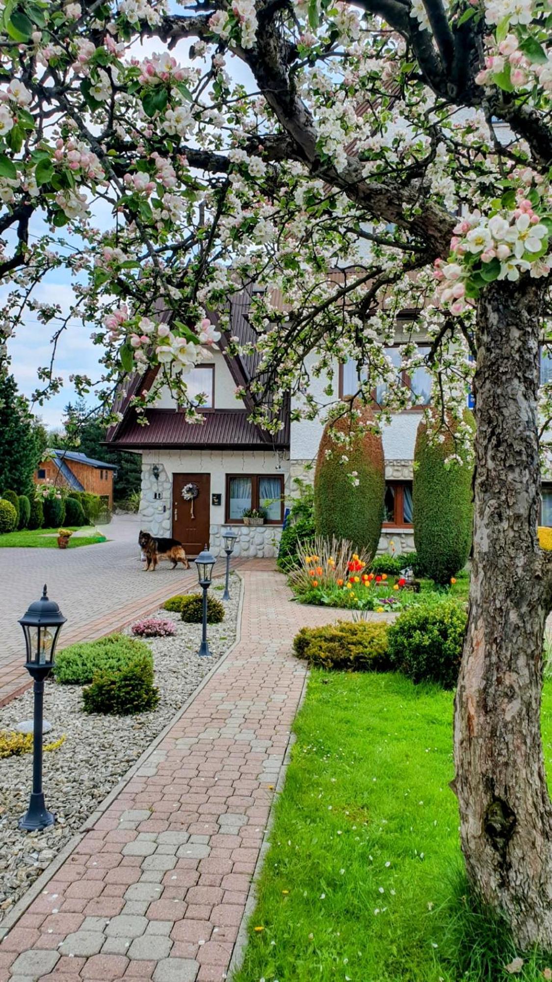 Panska Polana Apartamenty - Sala Zabaw, Duzy Ogrod Apartment Bialka Tatrzanska
