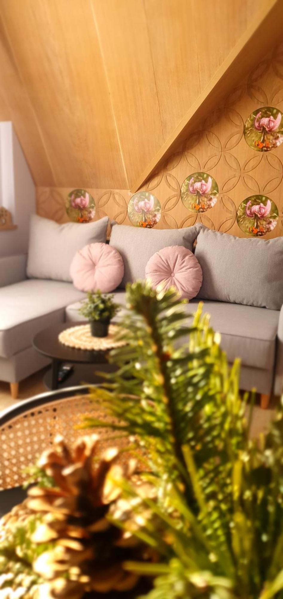 Panska Polana Apartamenty - Sala Zabaw, Duzy Ogrod *
